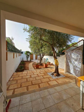 Casa Zitrapia